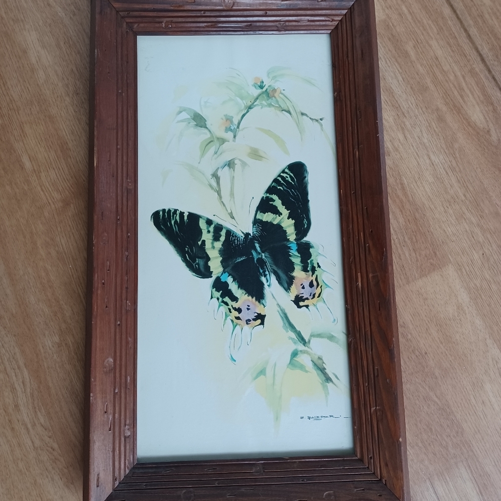 Vintage butterfly watercolor print 18.5x10.5 inches B. Ballester Litho wood